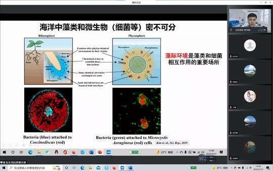 说明: 5.31讲座截图1